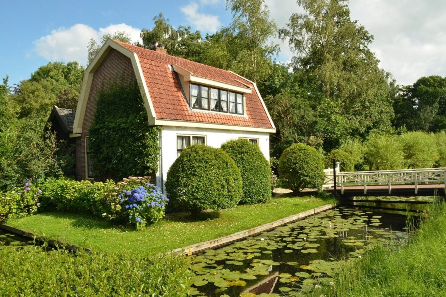 Immobilienwert steigern durch Gartenpflege
