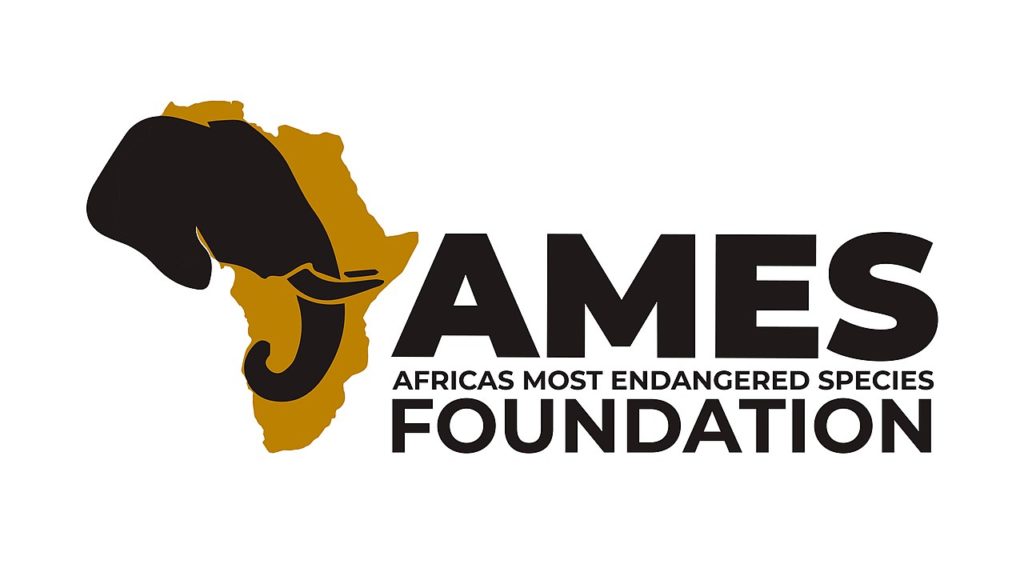 AMES Foundation Logo